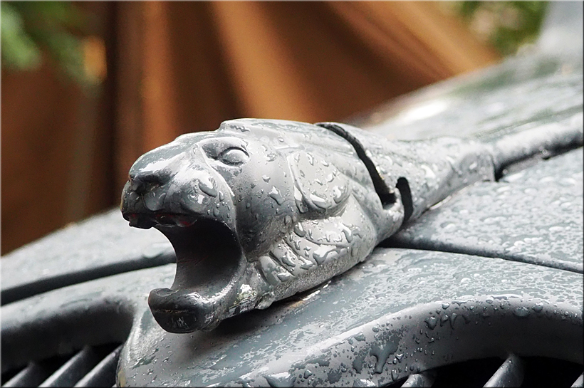 Herbstwindtreffen 2022